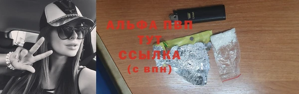 стаф Баксан