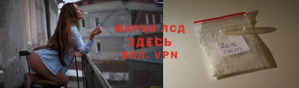 стаф Баксан