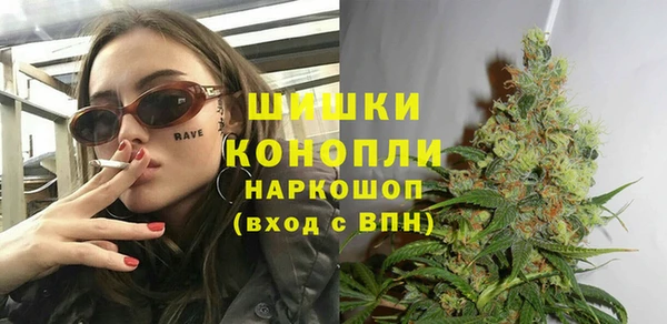 стаф Баксан