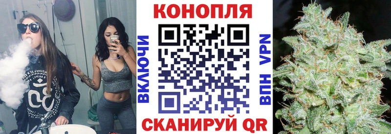 цены наркотик  Отрадная  Бошки марихуана индика 